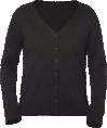 clique aston 021177-99